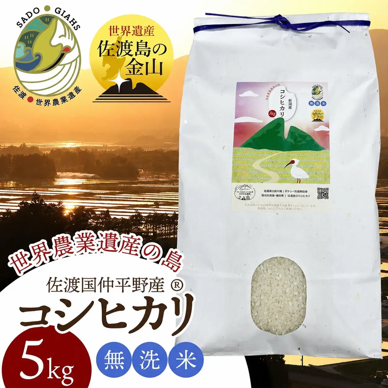【新潟県佐渡】国仲平野産コシヒカリ＜数量限定・生産地域限定＞ 令和7年産 精米【無洗米】5kg 送料無料