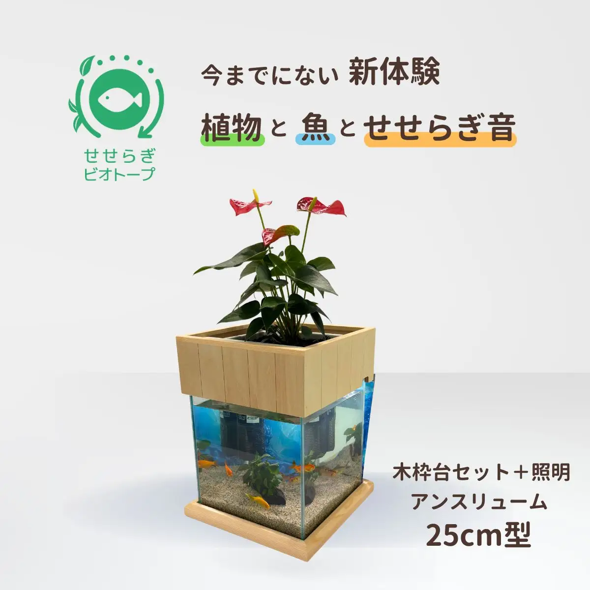 せせらぎビオトープ　25cm型照明+木枠台セット（アンスリウム）