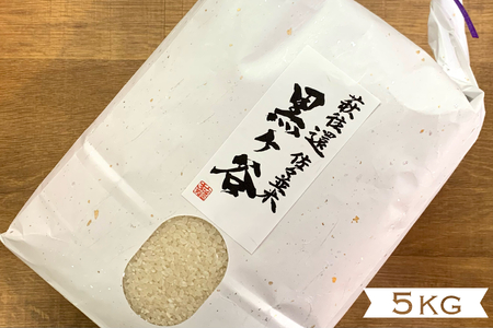 コシヒカリ 5kg 黒ヶ谷米 最上級 野菜ソムリエ プロselect 萩のお米 萩市 佐々並産 米 お米 白米