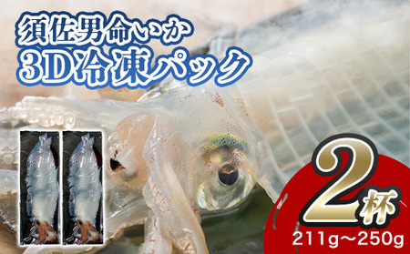 自宅で透明感を再現！須佐男命いかの姿造り（刺身）特殊冷却「3D冷凍」パック 2個セット