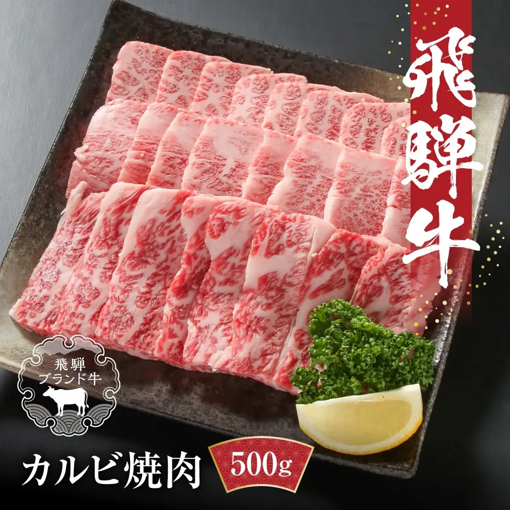 飛騨牛 カルビ焼肉 500g(1パック) 冷凍真空パック | 焼肉 MZ037