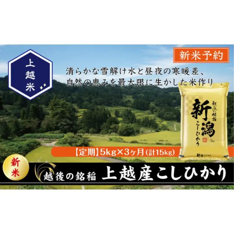 【定期便3か月】コシヒカリ 精米 上越産 コシヒカリ 5kg