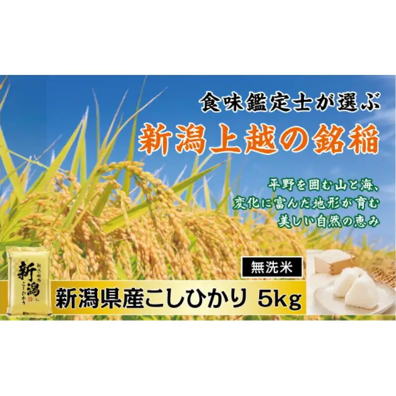 令和7年産 食味鑑定士厳選 新潟県産こしひかり 無洗米 5kg 上越市 米 コメ コシヒカリ