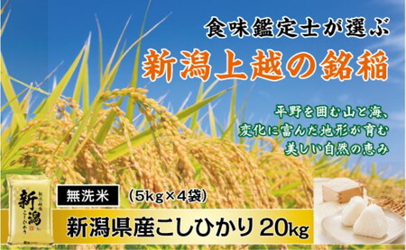 令和7年産 食味鑑定士厳選 新潟県産こしひかり 無洗米 20kg 上越市 米 コメ コシヒカリ