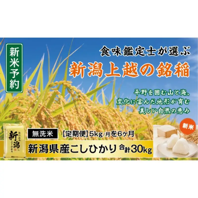 【定期便6か月】食味鑑定士厳選 コシヒカリ 無洗米 コシヒカリ 5kg