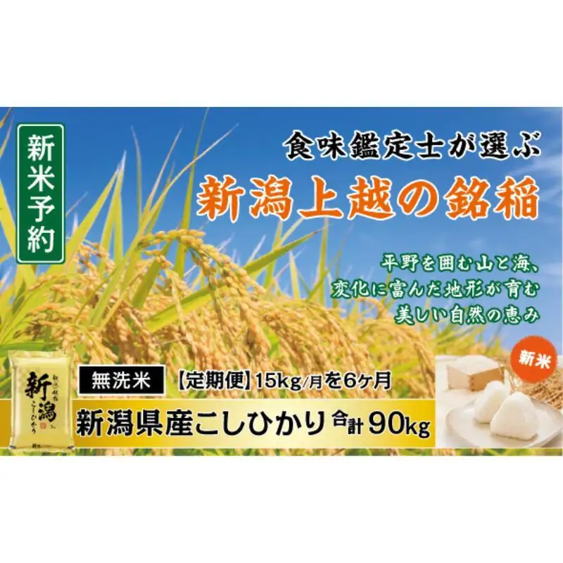 令和7年産 食味鑑定士厳選 新潟県産こしひかり 無洗米 15kg 6か月定期便 上越市 米 コメ コシヒカリ 121,500円
