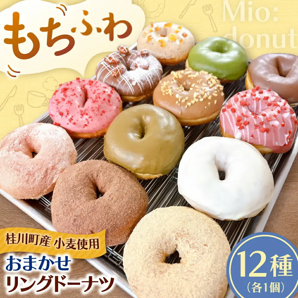 【ドーナツ】ドーナツ 12種セット ADBH037