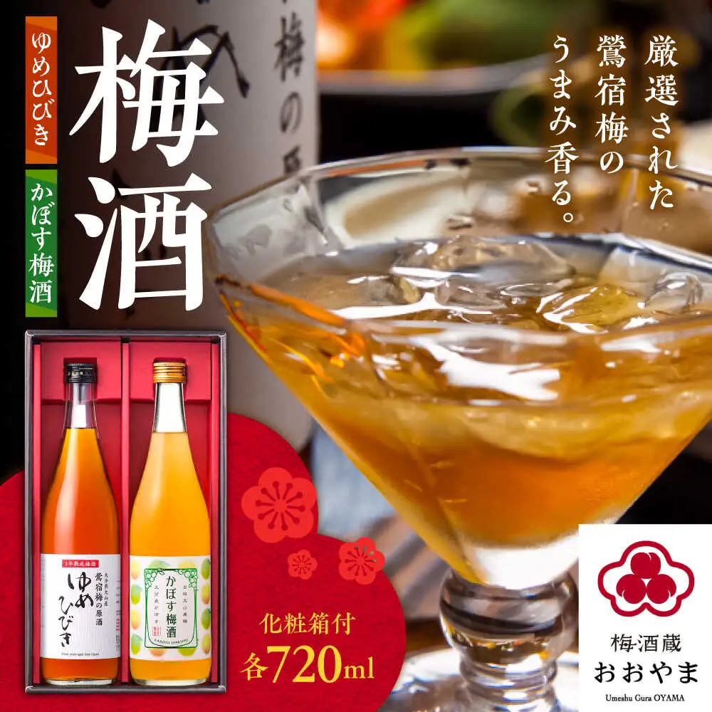 梅酒蔵おおやま 梅酒セット 各720ml / 酒 梅  / 日田市 / 株式会社おおやま夢工房[ARCW013]