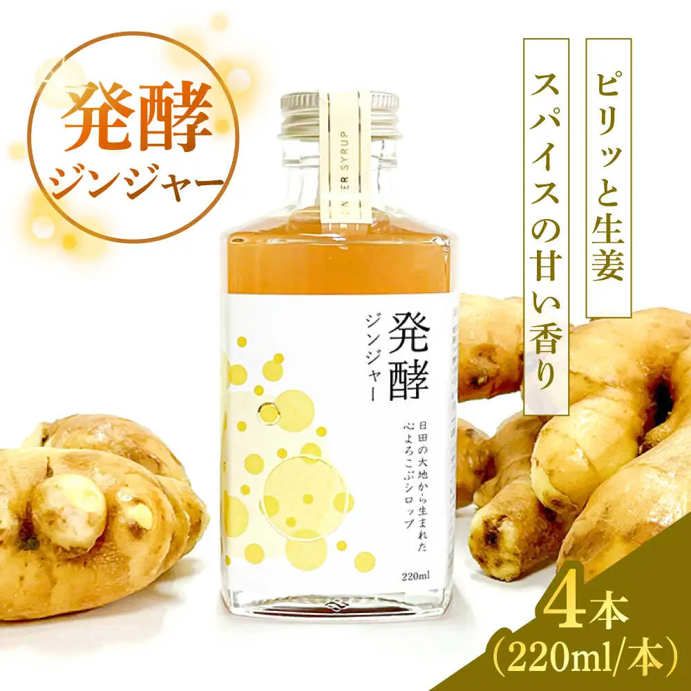 【お中元対象】ピリっと生姜にスパイスの甘い香り！身体にも心にも優しい発酵ジンジャーシロップ発酵ジンジャー（４本セット）  スパイス 炭酸 シロップ[ARDA012]