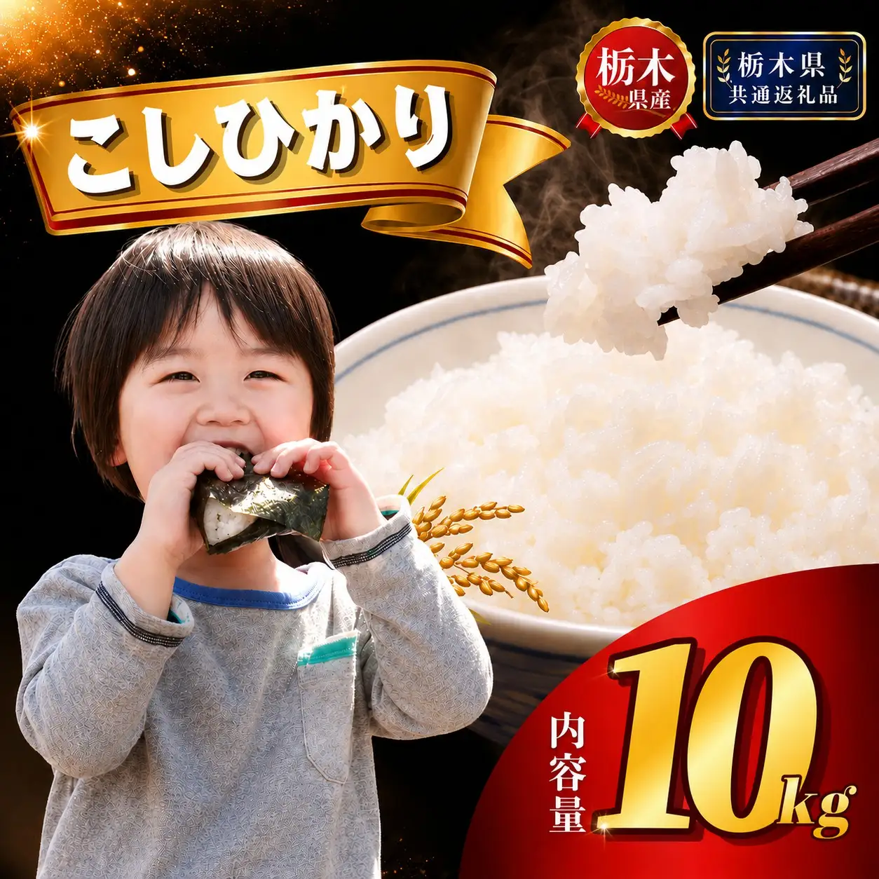 栃木県産 コシヒカリ10kg（5kg×2袋）【栃木県共通返礼品 栃木県産】AB | 栃木県 下野市