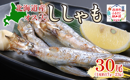 北海道産ししゃもオス大30尾 北海道 稀少 魚 シシャモ オス おつまみ 魚貝類 干物 本物 人気 希少 塩 味付け 脂のり 旨み 美味しい 大きい