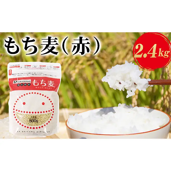 埼玉県産もち麦（赤）2.4kg（800g×3袋）  [No.173]
