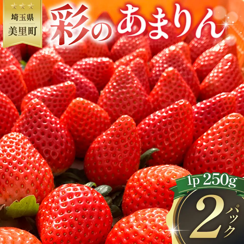 美里町産いちご【彩のあまりん】（250g以上×2パック）  [No.169]