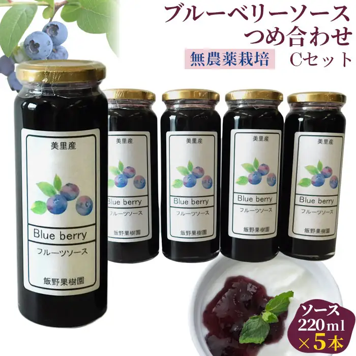 （Ｃセット）ブルーベリーソースつめ合わせ【飯野果樹園 当園自慢の無農薬栽培！】  [No.151]