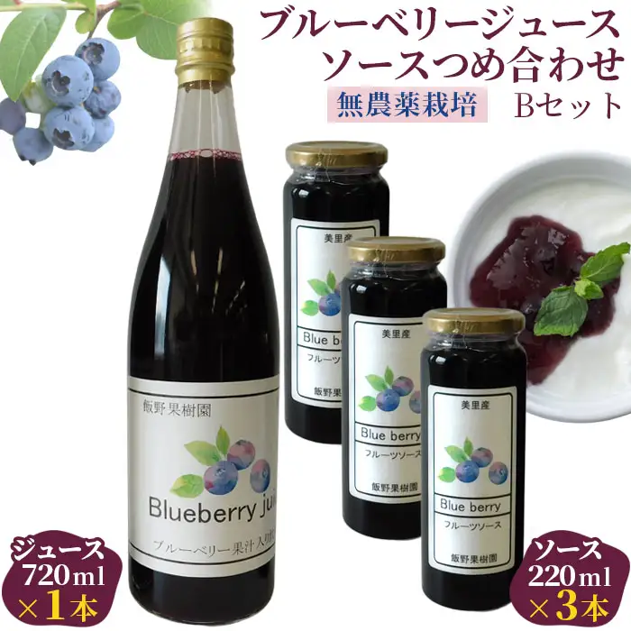 （Ｂセット）ブルーベリージュース・ソースつめ合わせ【飯野果樹園 当園自慢の無農薬栽培！】  [No.152]