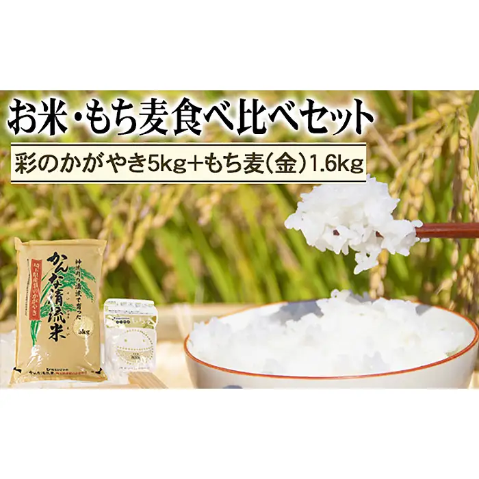 埼玉県産「彩のかがやき」5kg＋もち麦（金）1.6kg食べ比べセット  [No.178]