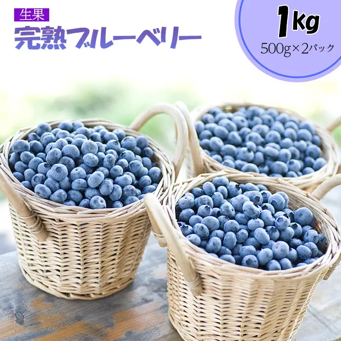 完熟ブルーベリー1kg（生果）＜期間限定＞【ブルーベリー王国美里町からお届け！】  [No.177]