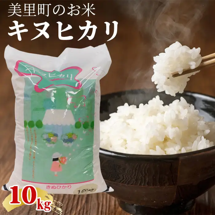 美里町のお米キヌヒカリ10kg【ソフトな食感でさっぱりとした口当たり】  [No.155]