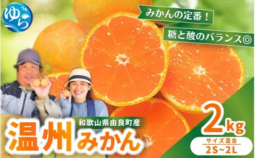 温州みかん 2kg 2S～2Lサイズ混合 11月発送 / 温州 ミカン 農家直送　完熟 密柑 くだもの  果実  柑橘 果物 フルーツ 和歌山県 由良町 人気 おすすめ 産地直送 ※2026年11月中旬頃～11月下旬頃に順次発送予定【nktn004-r-2-nov】