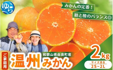 家庭用 温州みかん 2kg ※2026年11月中旬頃～12月下旬頃に順次発送予定 / 農家直送 くだもの 果実 柑橘 果物 フルーツ 国産 和歌山県 由良町 ご家庭用 人気 おすすめ【nktn004-c-2】