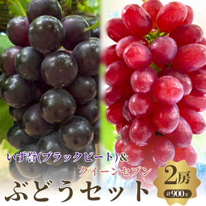 先行予約 クイーンセブン 泉湧誉 希少2品種 ぶどうセット 2房 計900g 数量限定 先行受付 種なし 大粒 食べ比べ 詰め合わせ 葡萄 ブドウ 黒ぶどう フルーツ 果物 高糖度 旬 大阪府 岸和田市産