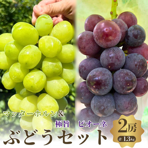 先行予約 数量限定 ぶどう マッターホルン 雄宝 ピオーネ 大粒 希少2品種 食べ比べ 2房セット 約1.3kg 種なし 高糖度 フルーツ 果物 大阪府岸和田産 詰め合わせ 葡萄 ブドウ 産直 農園直送