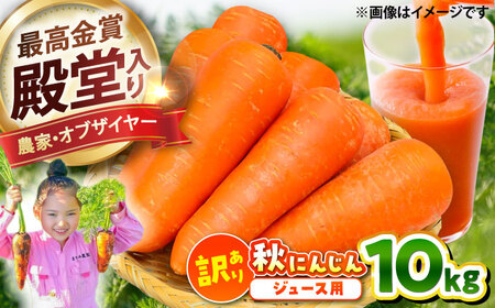 【先行予約】【2026年12月順次発送開始】秋にんじん10kg (訳あり) にんじん BHCW007
