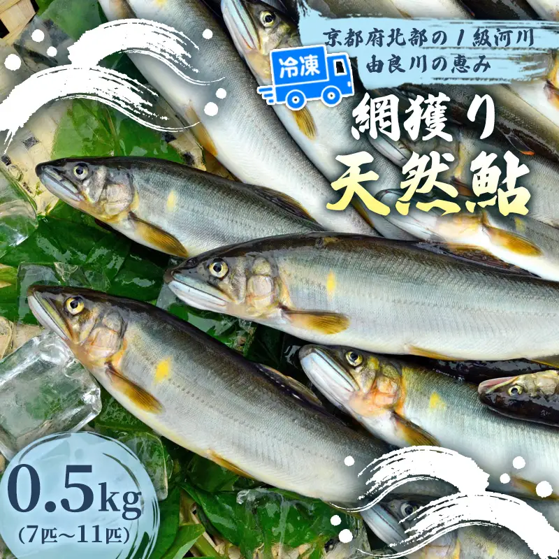 天然鮎 網獲り 冷凍 約0.5kg（約7匹～11匹） あゆ 鮎