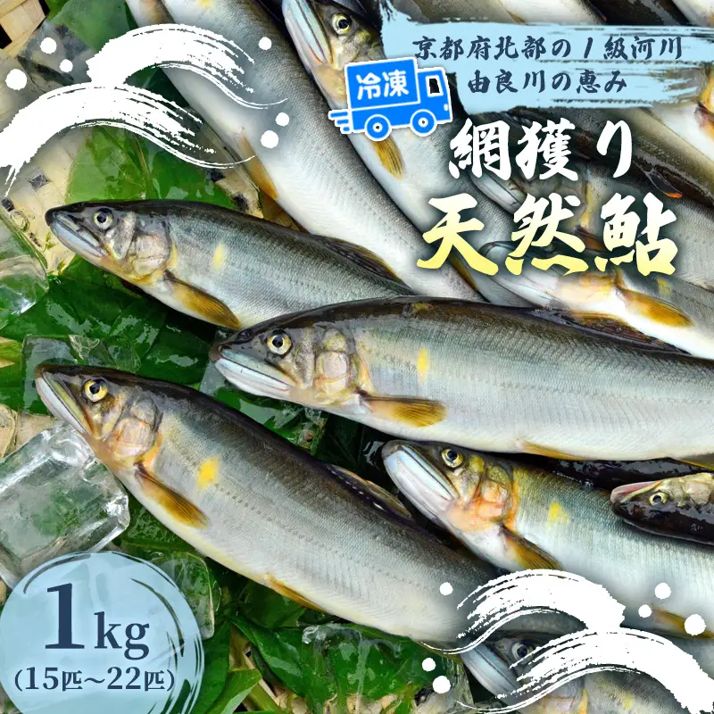 天然鮎 網獲り 冷凍 約1kg（約15匹～22匹）あゆ 鮎