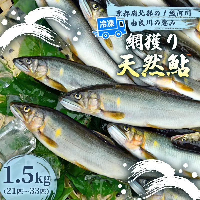 天然鮎 網獲り 冷凍 約1.5kg（約21匹～33匹）あゆ 鮎