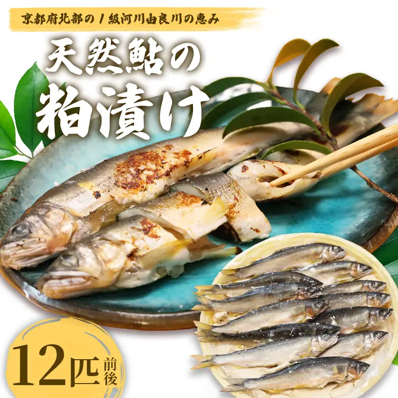 天然鮎の粕漬け 12匹 あゆ 鮎 粕漬け