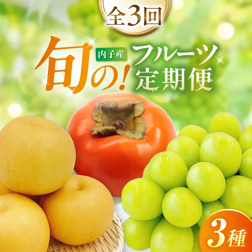 【先行予約】【3回定期便】梨・ぶどう・柿 旬のフルーツ定期便 BKAY030 フルーツ