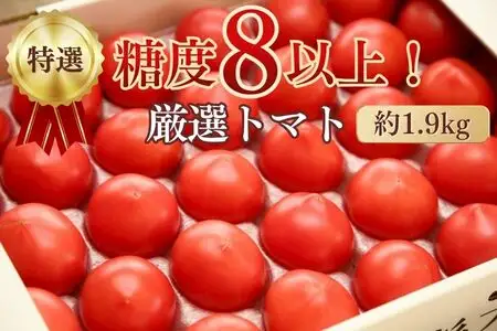 【季節限定】『特選』糖度8以上！北海道奈井江町産 厳選トマト「桃太郎ファイト」約1.9kg 12~16玉