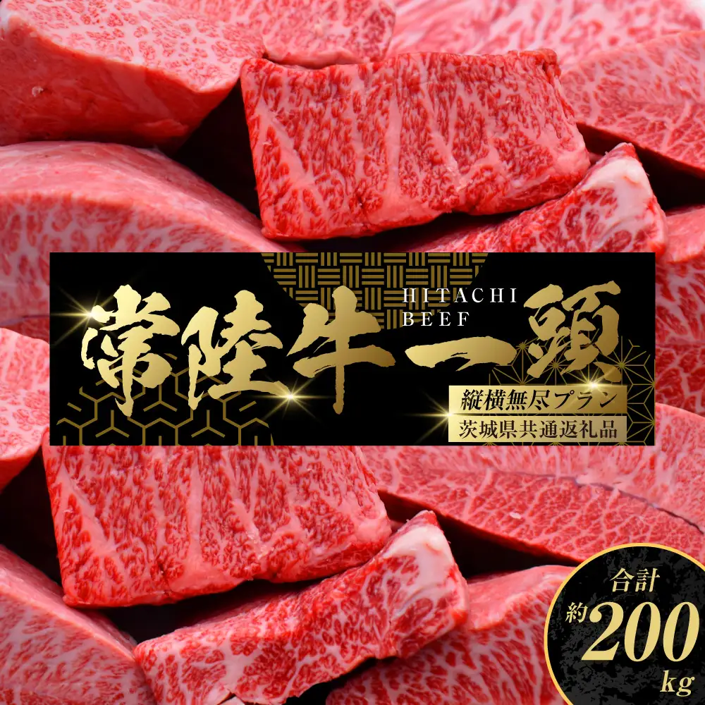 【茨城県共通返礼品】常陸牛 一頭 コンシェルジュ 縦横無尽プラン（チケット） オーダーチケット 1枚（茨城県共通返礼品）