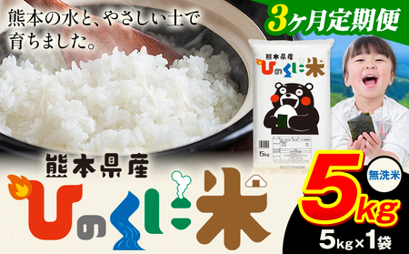 【3ヶ月定期便】無洗米 ひのくに米 5kg