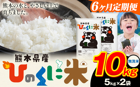 【6ヶ月定期便】無洗米 ひのくに米 10kg