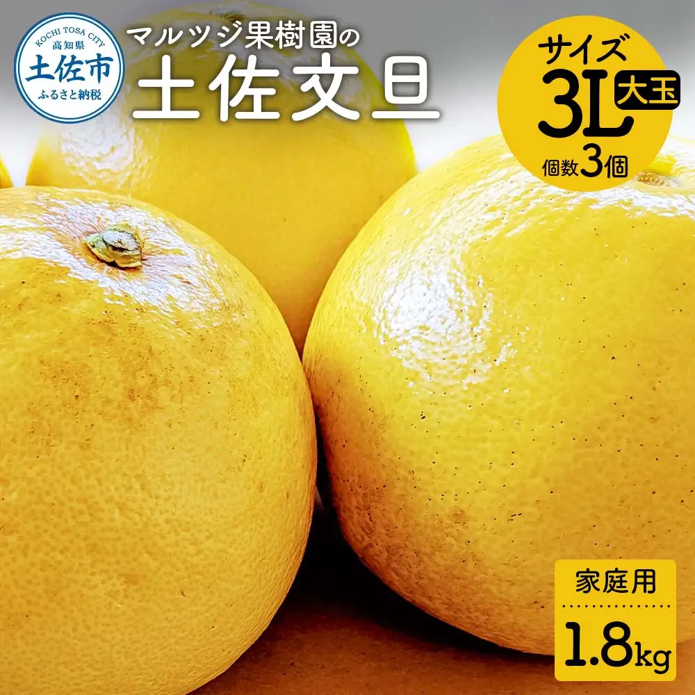 【先行予約】マルツジ果樹園の土佐文旦 家庭用 大玉（3Lサイズ）約1.8kg（3個入り） 高知県土佐市 【マルツジ果樹園】 [BQAN016]