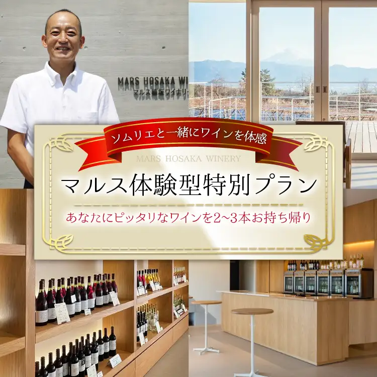 【ふるなび限定】 体験チケット 1名様分 あなたにピッタリなワインをソムリエと一緒に見つけませんか。  FN-Limited-SP