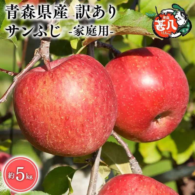 りんご 家庭用　サンふじ５kg [hi-0058-011-4]