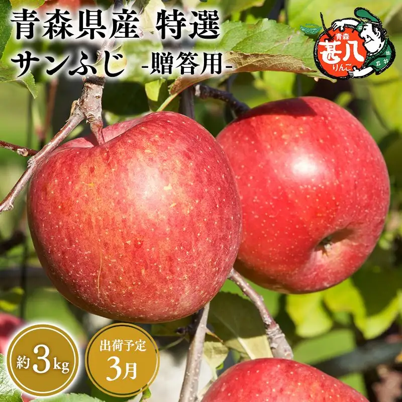 りんご 特選 サンふじ３kg [hi-0058-052-3]