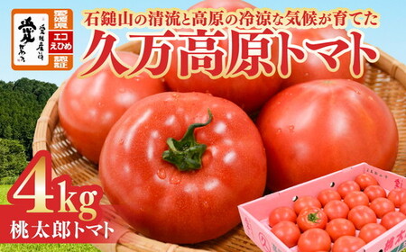 久万高原トマト 4kg 朝露に輝く 清流育ち【桃太郎トマト】久万高原町｜特別栽培 エコえひめの認証 トマト とまと トマト産地 産地直送 ソース ジュース 自然栽培 野菜 安心 安全 旬 贅沢 酸味 甘味 料理 旨み 風味豊か スープ 煮込み 新鮮 アレンジ 美味しい 人気 おすすめ 贈答 ギフト プレゼント 愛媛　※2026年7月～発送