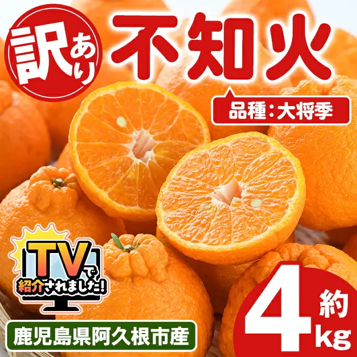 ＜先行予約受付中！2027年3月上旬以降順次発送予定＞ ＼テレビで紹介されました！／訳あり！露地栽培の不知火(約4kg：大将季) 国産 不知火 しらぬい 柑橘 果物 フルーツ デザート 露地 果実 期間限定 数量限定【古田果樹園】akn093-07