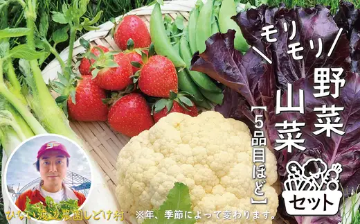 モリモリ野菜・山菜セット（5品目ほど） 75P3205【ひない渡辺農園しどけ村】