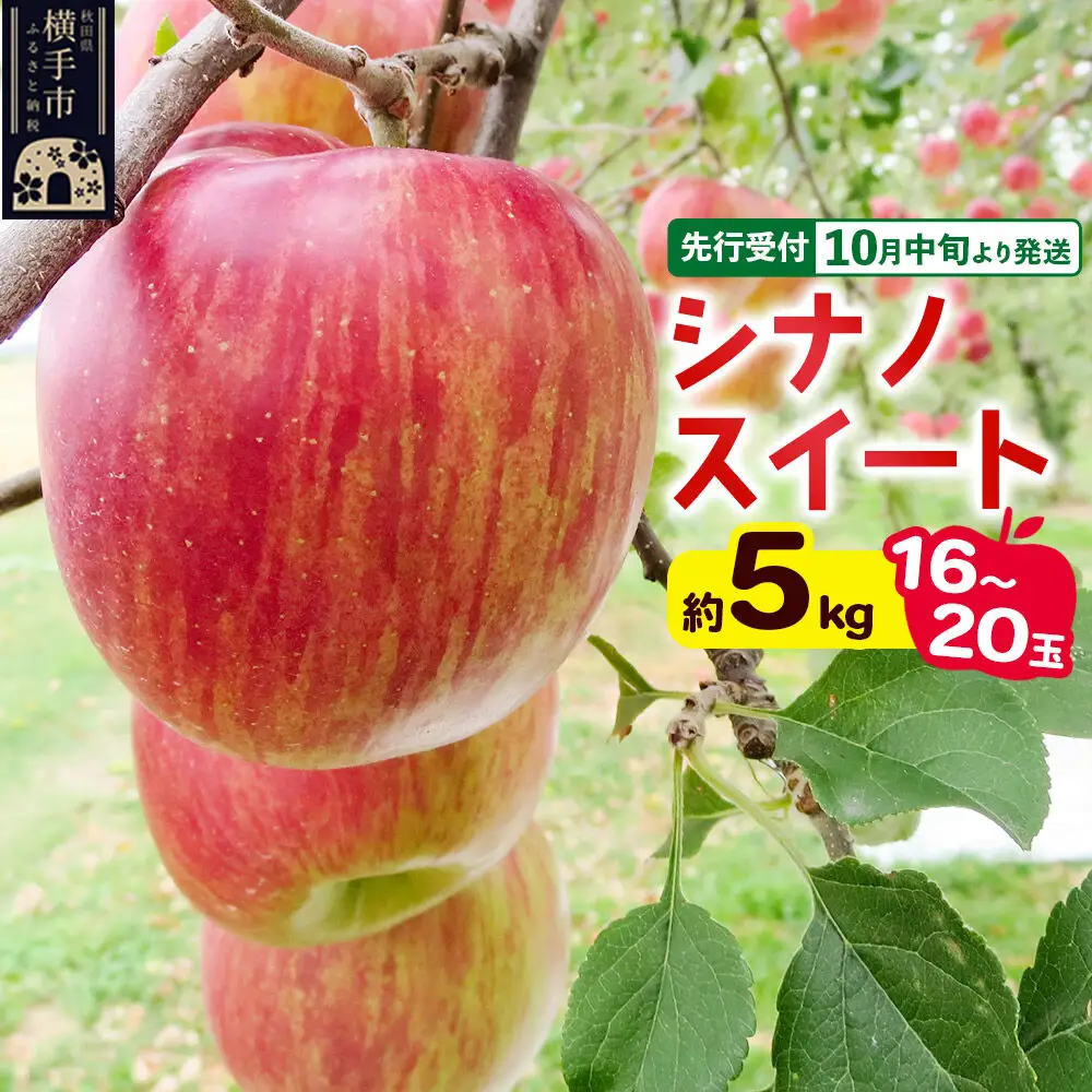 【先行受付】10月中旬より発送 シナノスイート約5kg（16～20玉）りんご 秋田県横手市