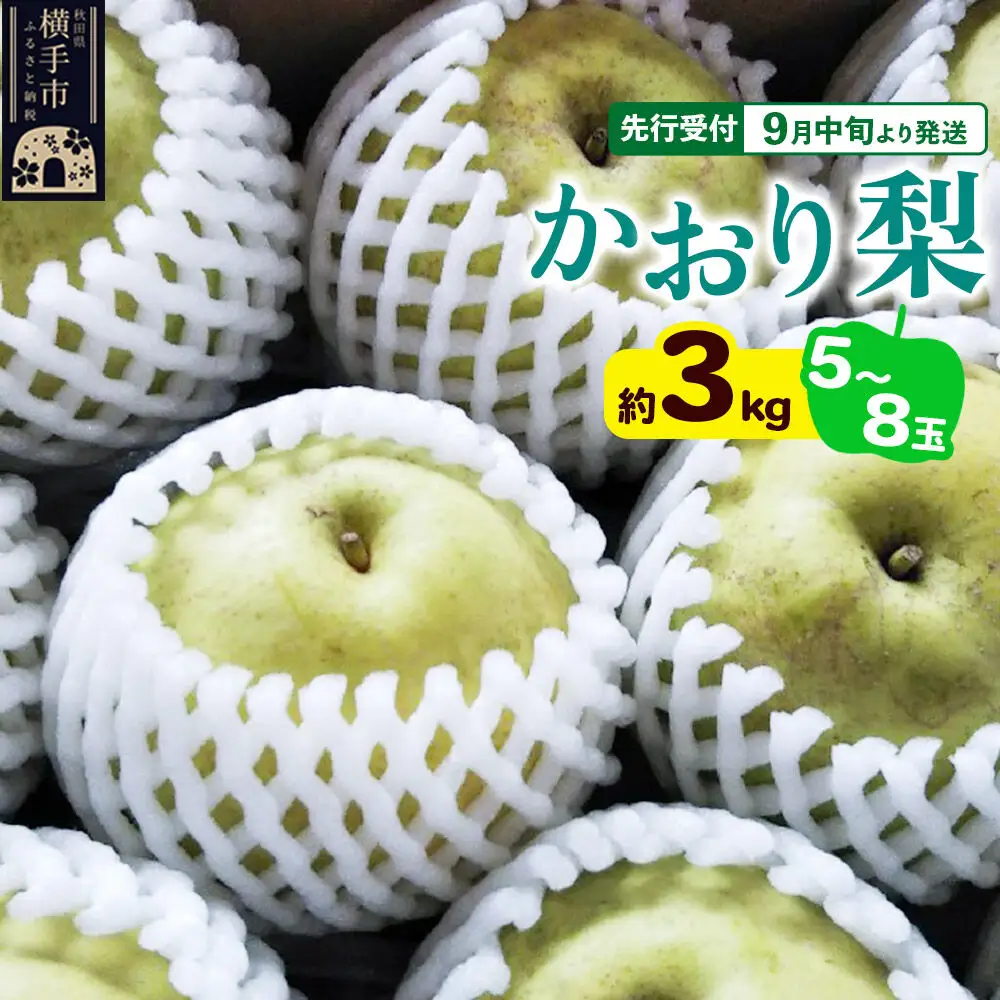 【先行受付】9月中旬より発送 かおり約3kg（5～8玉）かおり梨 大玉品種 青梨 和梨 秋田県横手市
