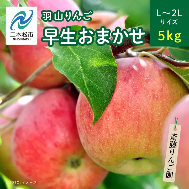 りんご 《2026年8月下旬以降順次発送》羽山のりんご 早生おまかせL～2Lサイズ5kg りんご リンゴ 果物 フルーツ【斎藤りんご園】