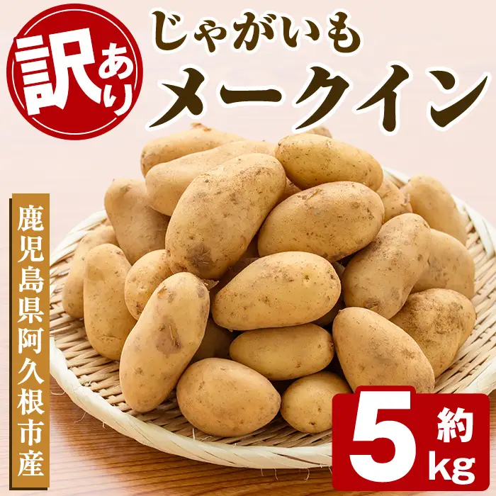 ＜先行予約受付中！2027年5月下旬以降順次発送予定＞ 訳あり！じゃがいも「メークイン」(約5kg) じゃがいも ジャガイモ 芋 国産 野菜 期間限定 数量限定 肉じゃが ポテトサラダ カレー シチュー 【古田果樹園】akn093-01