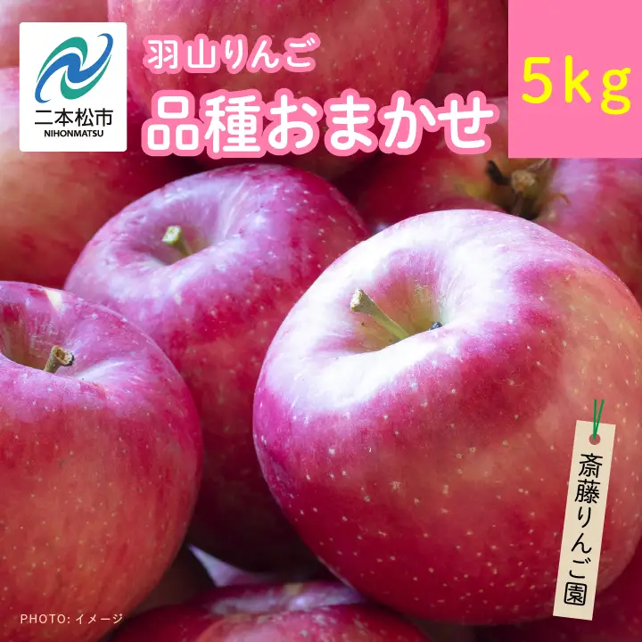 りんご 【3ヶ月定期便】品種おまかせ！羽山のりんご5kg×3回 りんご リンゴ 果物 フルーツ【斎藤りんご園】