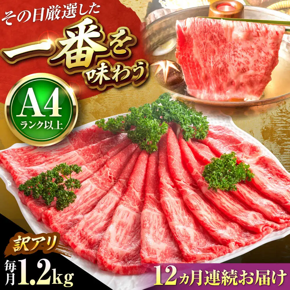 【全12回定期便】訳あり 博多和牛シャブシャブ用1.2kg[BGAB091] 黒毛和牛 牛しゃぶ 牛肉