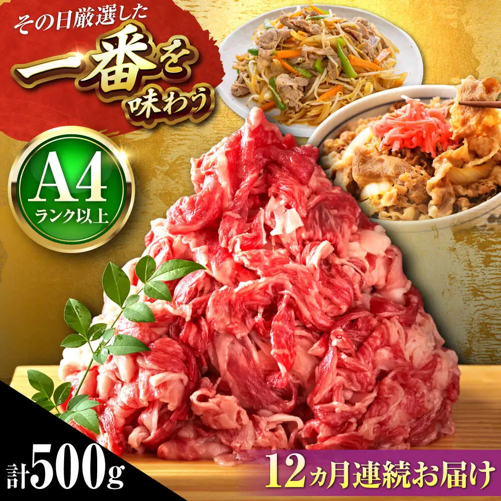 【全12回定期便】博多和牛 切り落とし 500g[BGAB100]牛肉 大容量